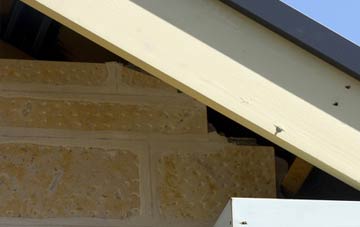 soffit repair Rienachait